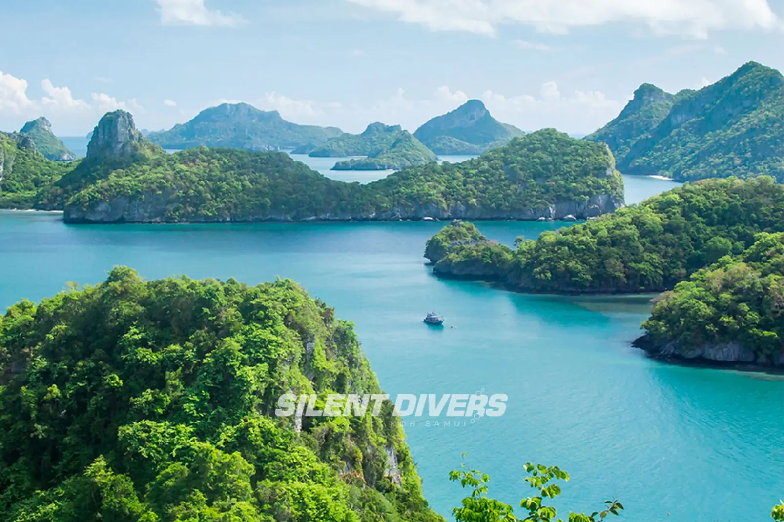 Diving Tour Ang Thong Marine Park