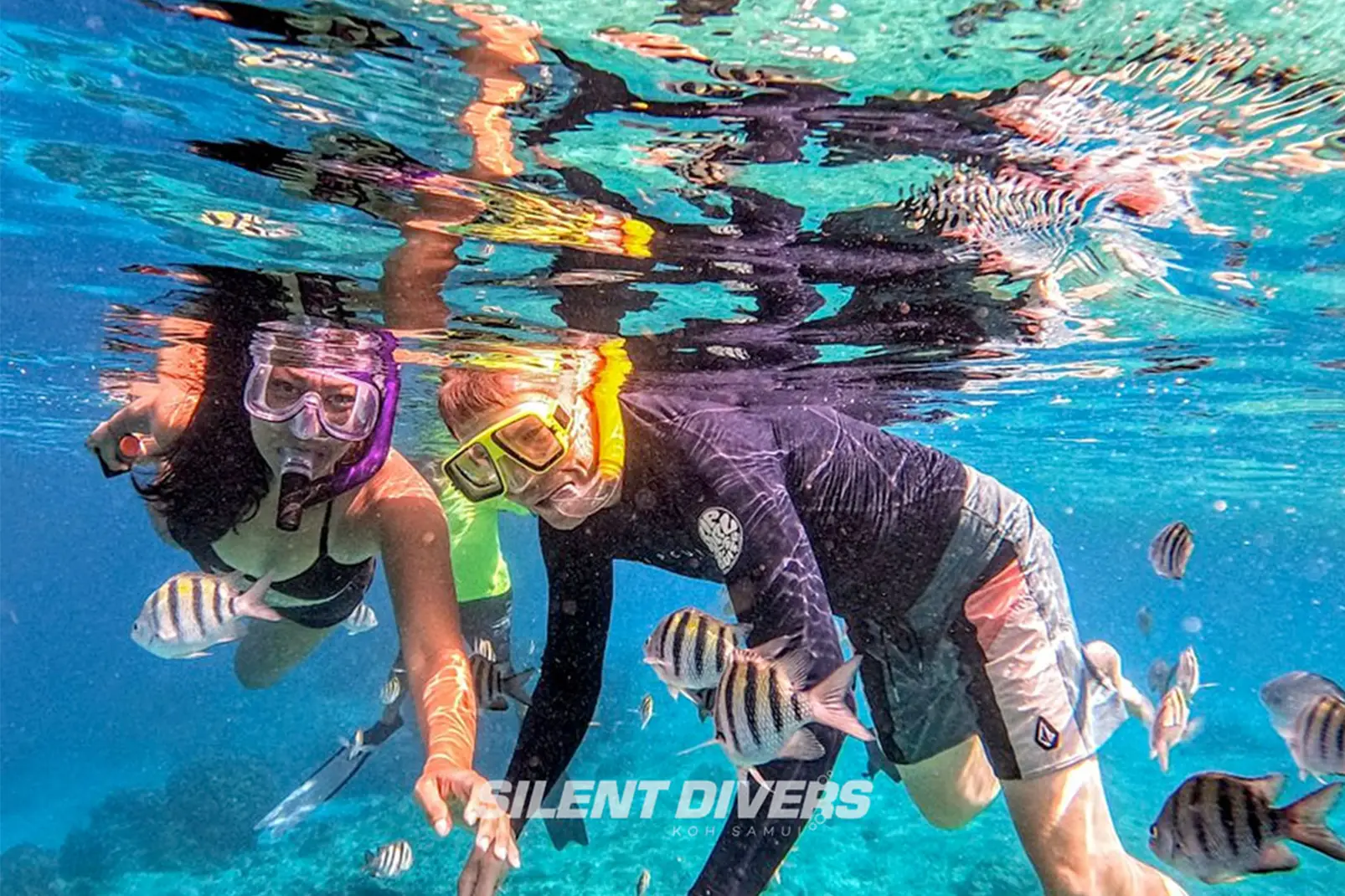 Tour de Snorkel en Koh Tao