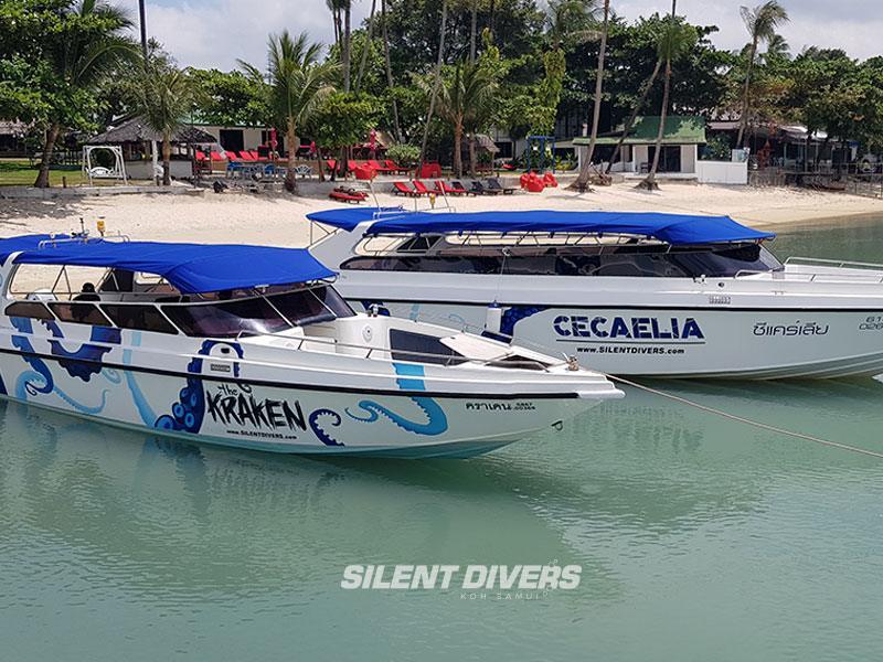 Private Charter Diving Tour