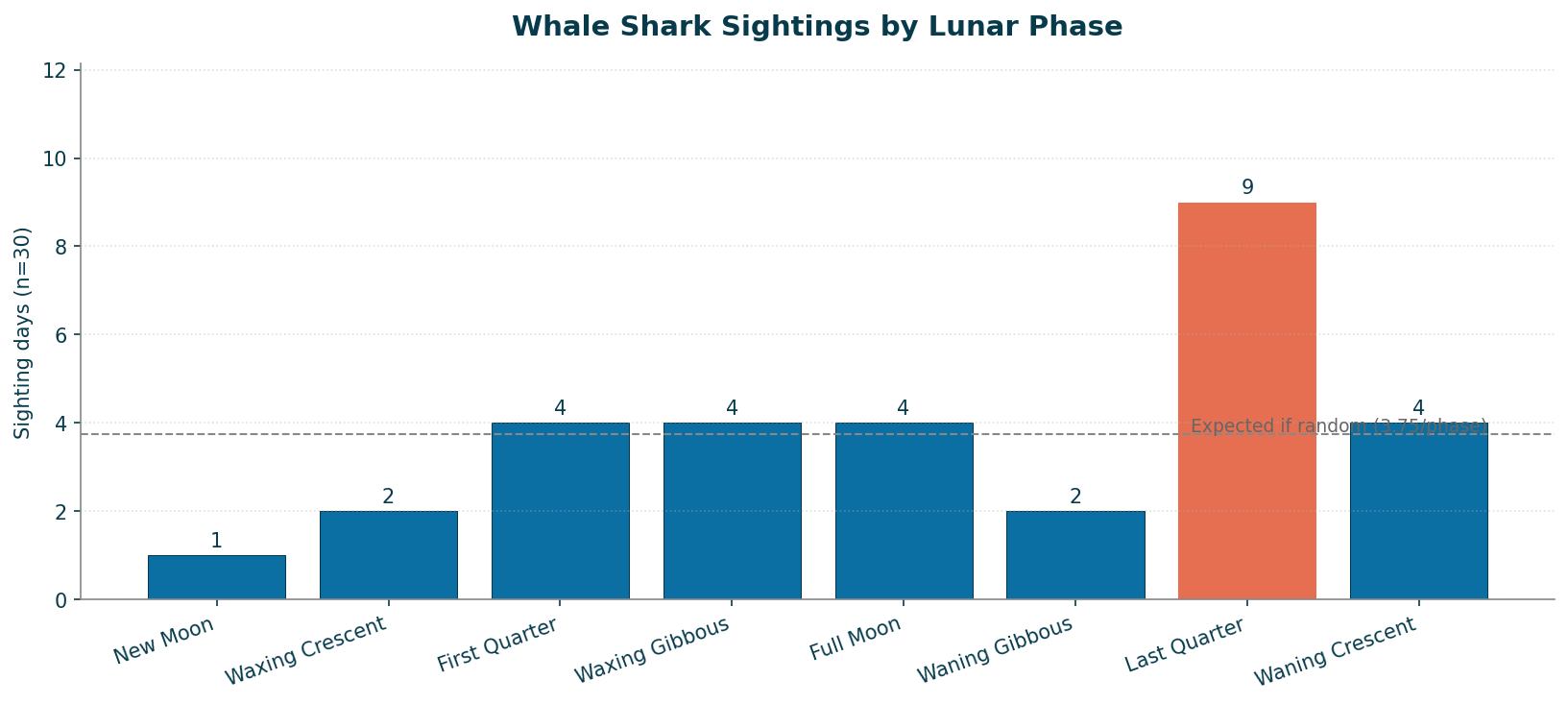 Whale shark sightings by lunar phase