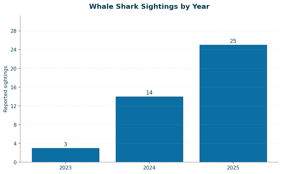 Whale shark sightings by year in the Gulf of Thailand