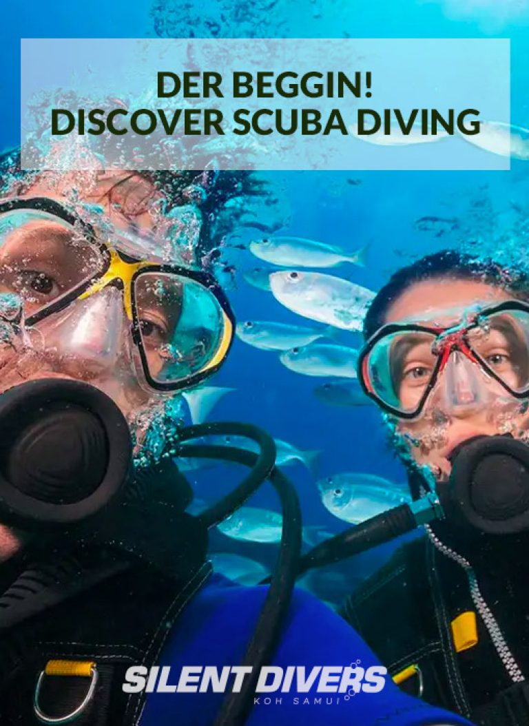 Discover Scuba Diving Menu Silent Divers