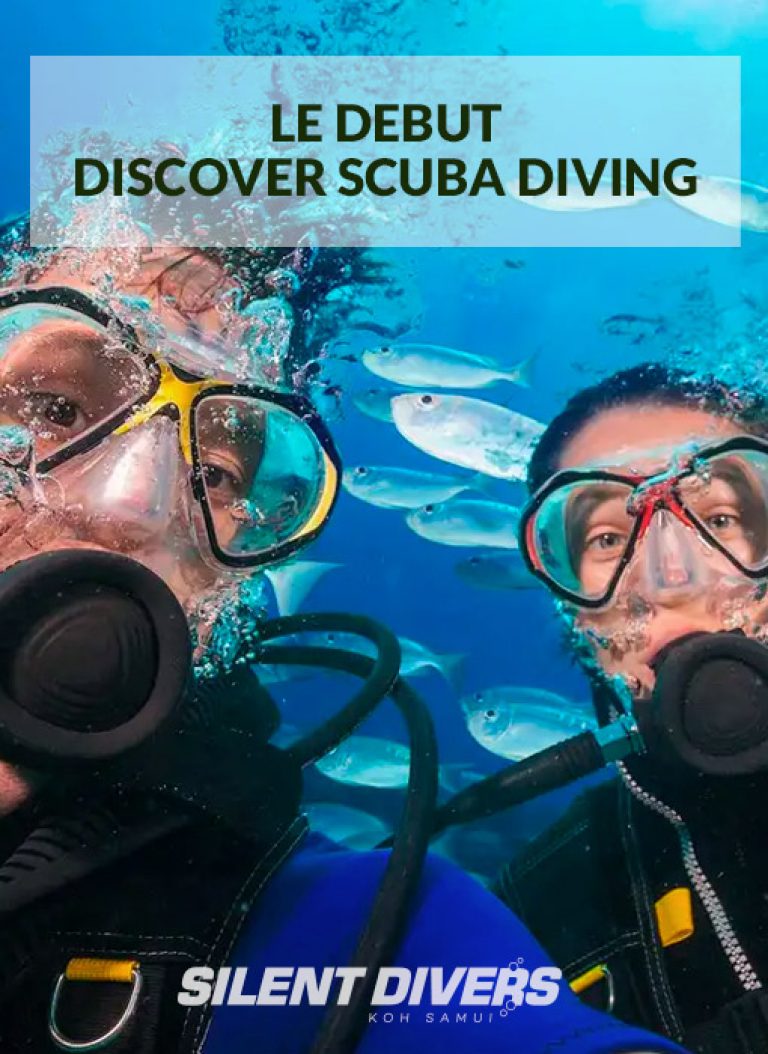 Le Début Discover Scuba Diving Silent Divers