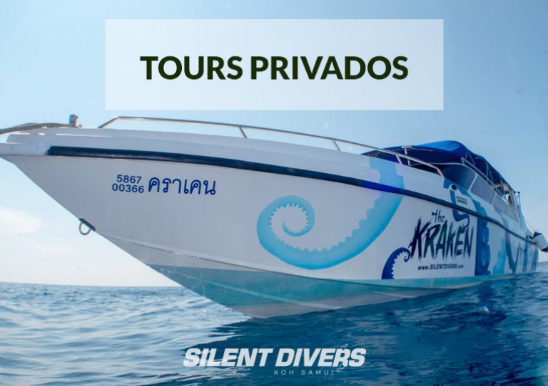 Tours privados menú Silent Divers