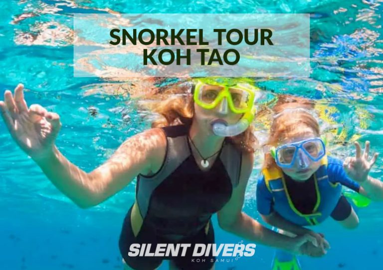 Snorkel à Koh Tao menu