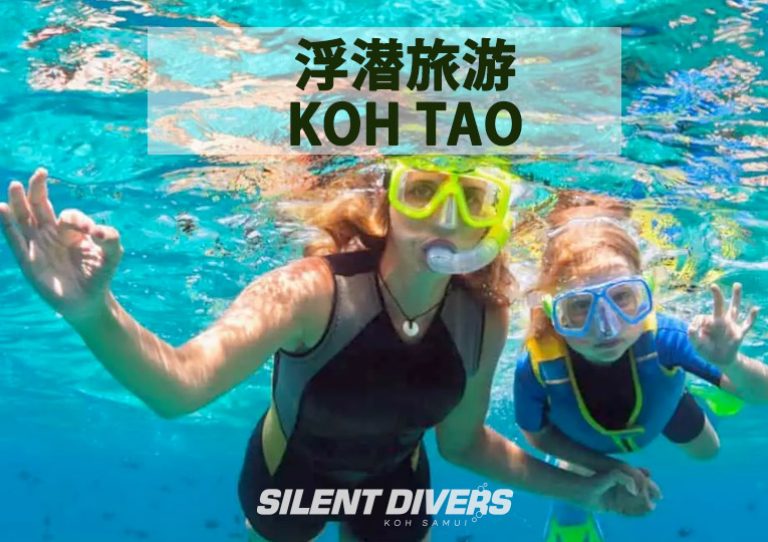 浮潜旅游 Koh Tao