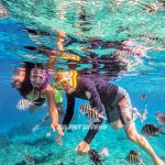 Snorkeling Trips from Koh Samui to Koh Tao