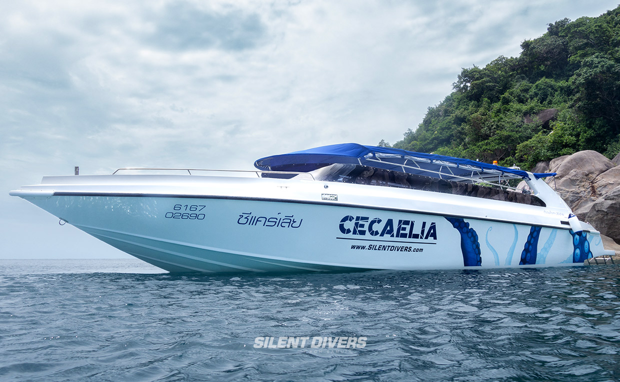 Speedboat Cecaelia Silent Divers