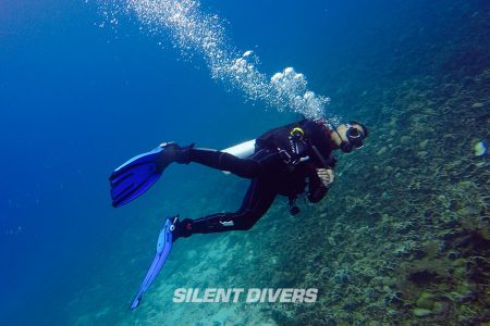 苏梅岛 PADI 开放水域潜水员课程证书。 适合初学者和潜水员。