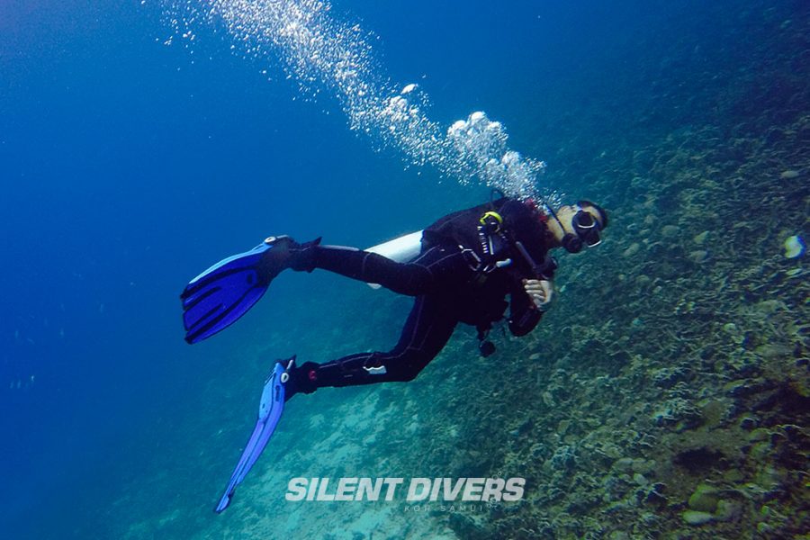 苏梅岛 PADI 开放水域潜水员课程证书。 适合初学者和潜水员。