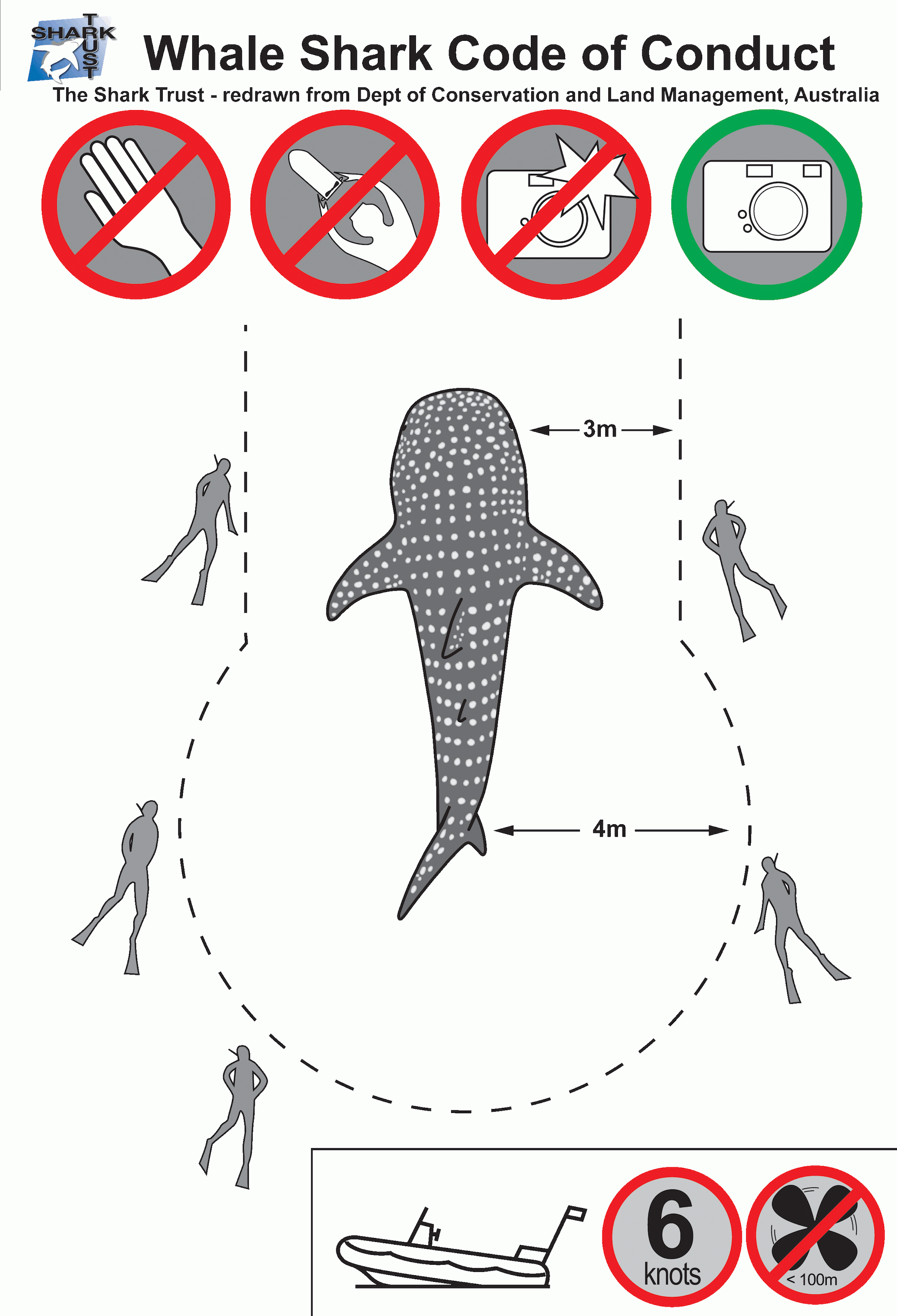whaleshark code of conduct